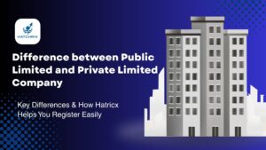 Public Limited vs Private Limited Company